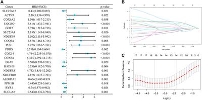 Expression of lactate-related signatures correlates with immunosuppressive microenvironment and prognostic prediction in ewing sarcoma